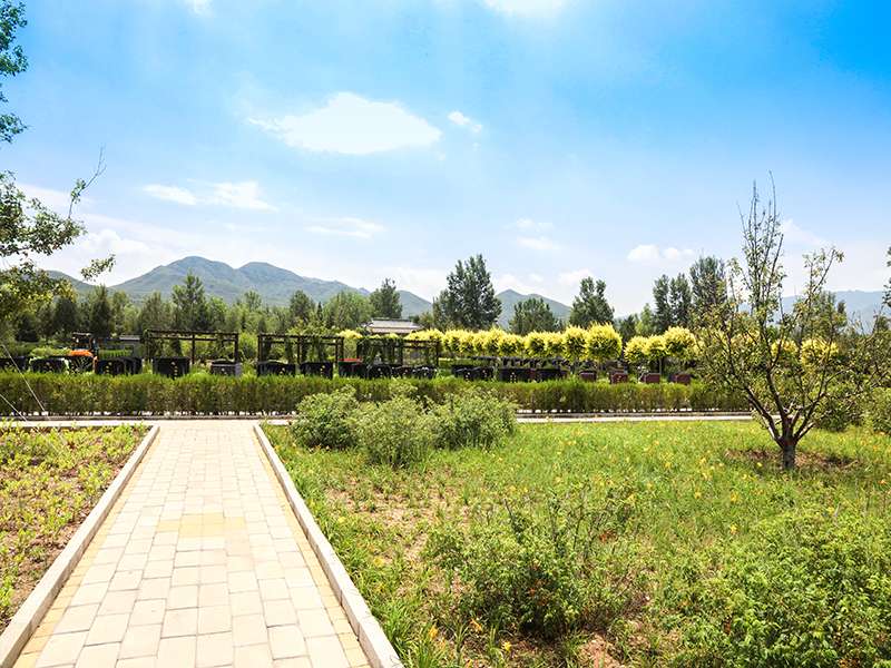 什么是堪舆之术(选墓时要注意什么) 什么是堪舆之术(选墓时要注意什么)