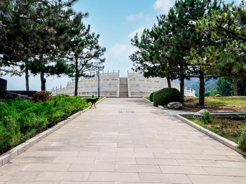 金山陵园预约流程(金山陵园注意事项)